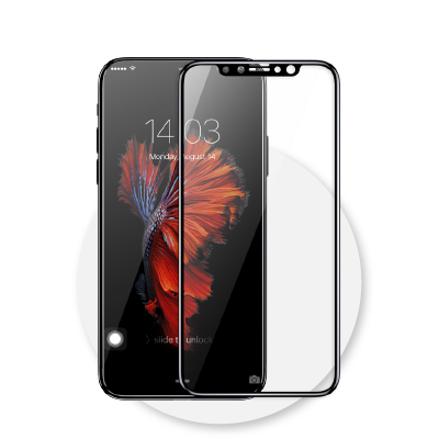 Protective Glass