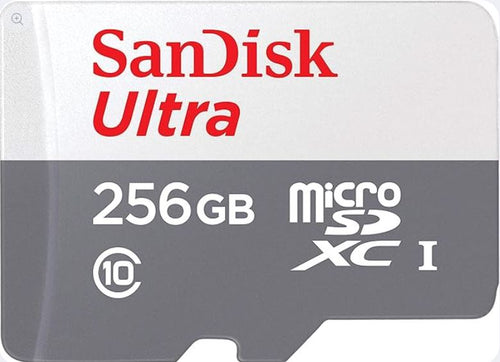 Sandisk 256GB Ultra Microsdxc Uhs 1 Card 100Mb/S Grey -Sdsqunr-256G-Gn3Mn, Grey